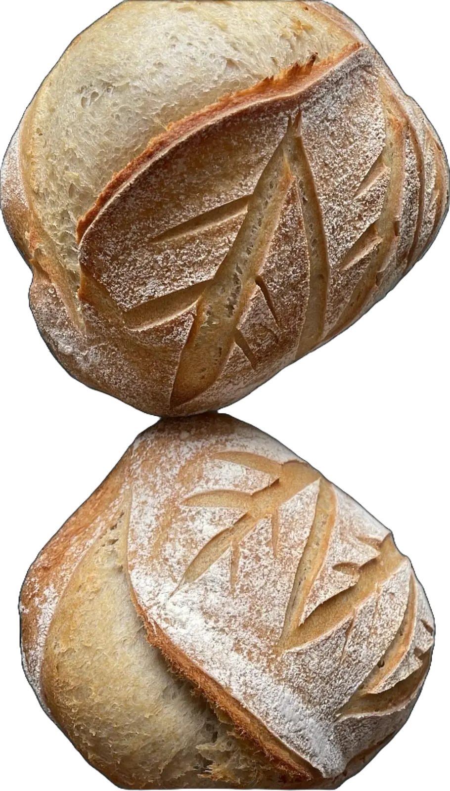 Deli-choux patisserie